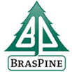 Braspine