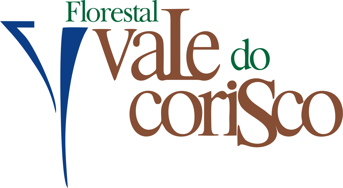 Vale do Corisco_logo